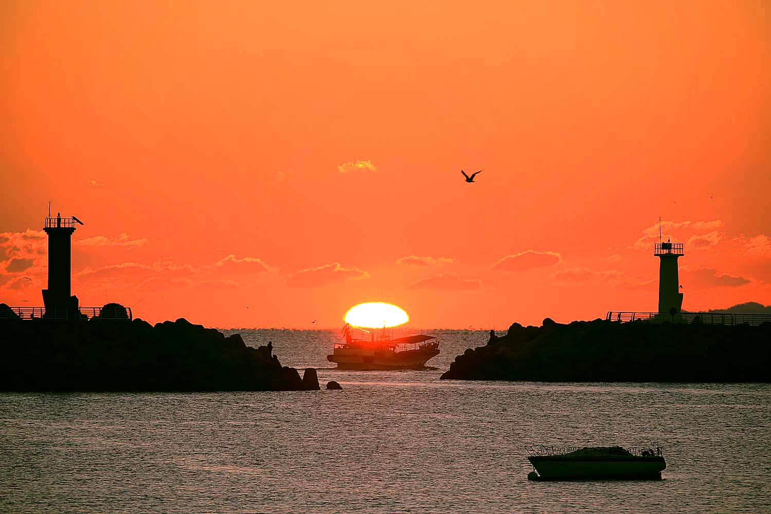 물건항일출 3Z2A00681.JPG