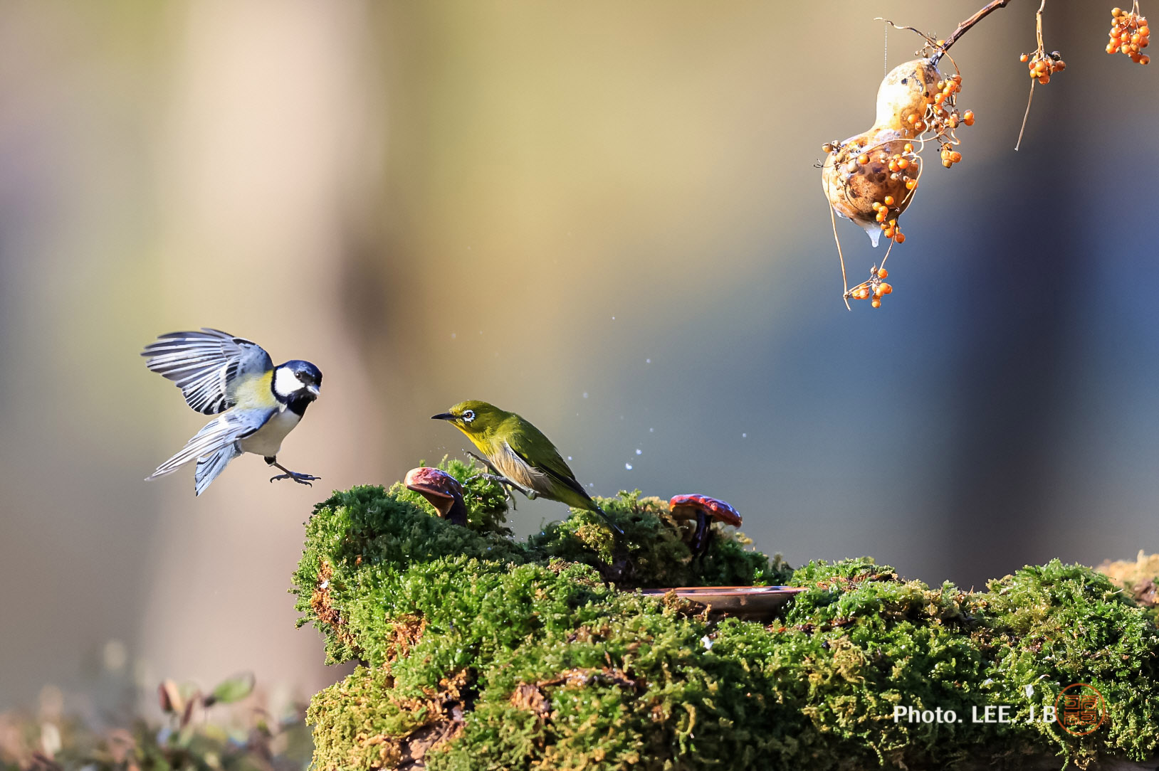 20250111-문수구장 (8).JPG