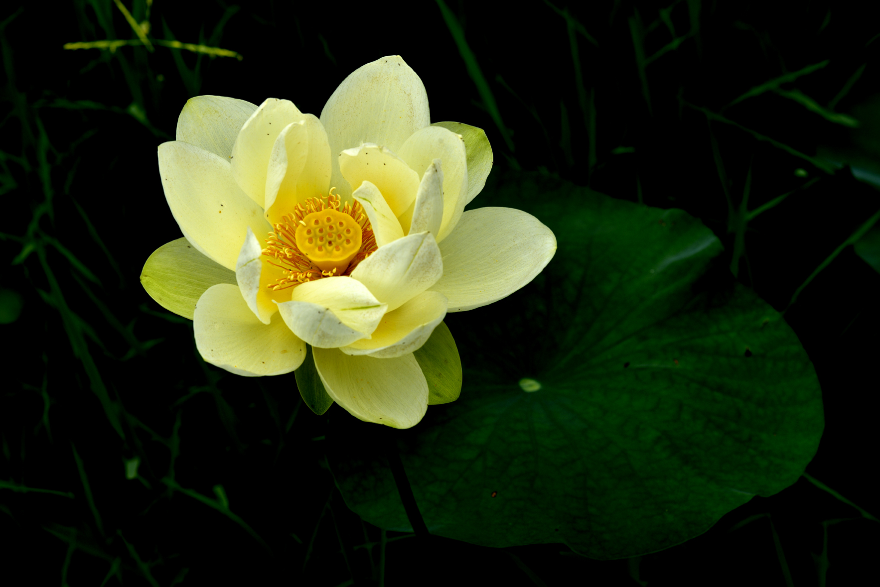 _DSC1687_01 복사.jpg