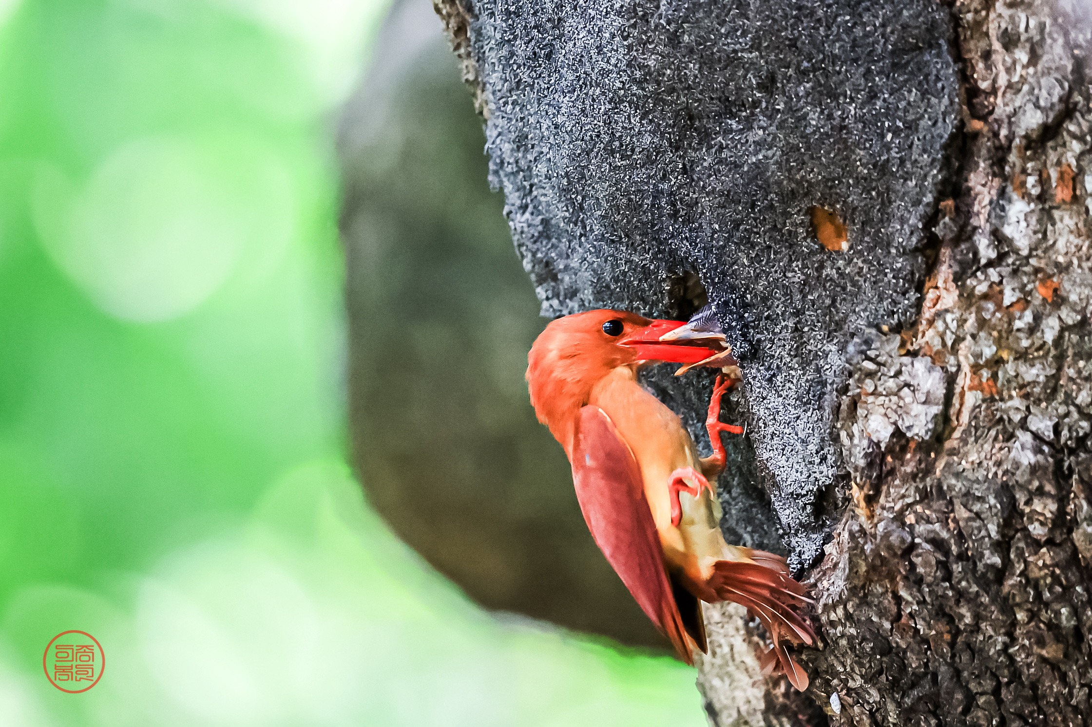 20240701-옥산서원 (11).JPG
