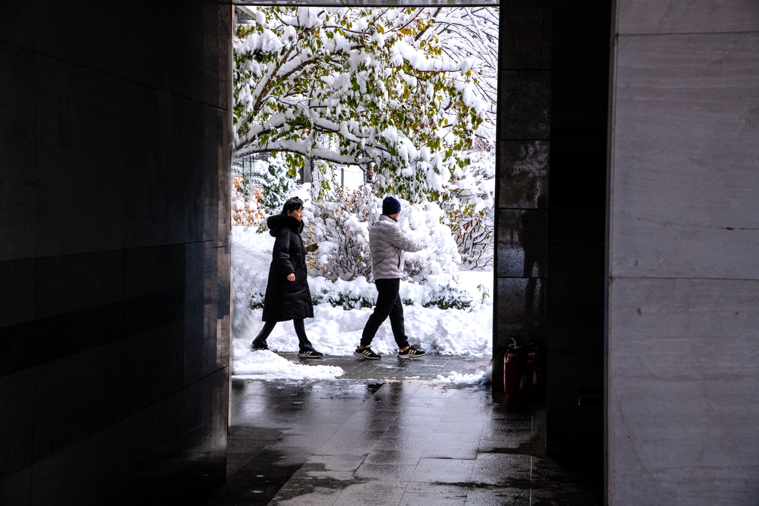 아파트의 첫눈 copy.jpg