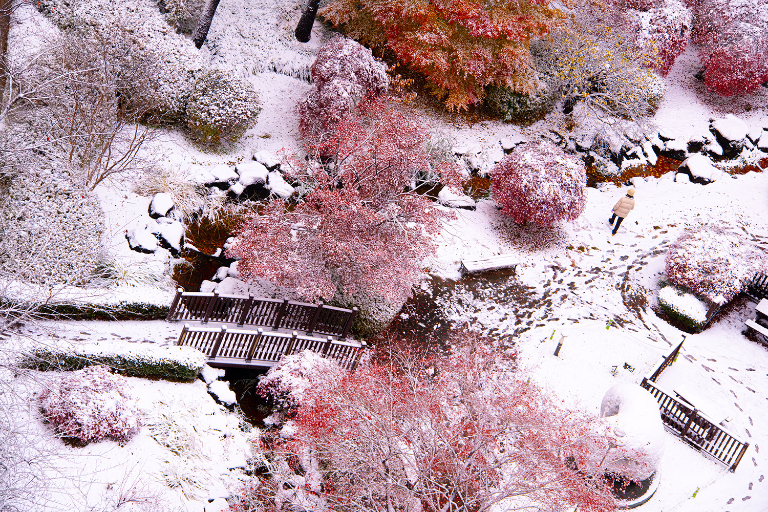 첫눈내린 아침.jpg