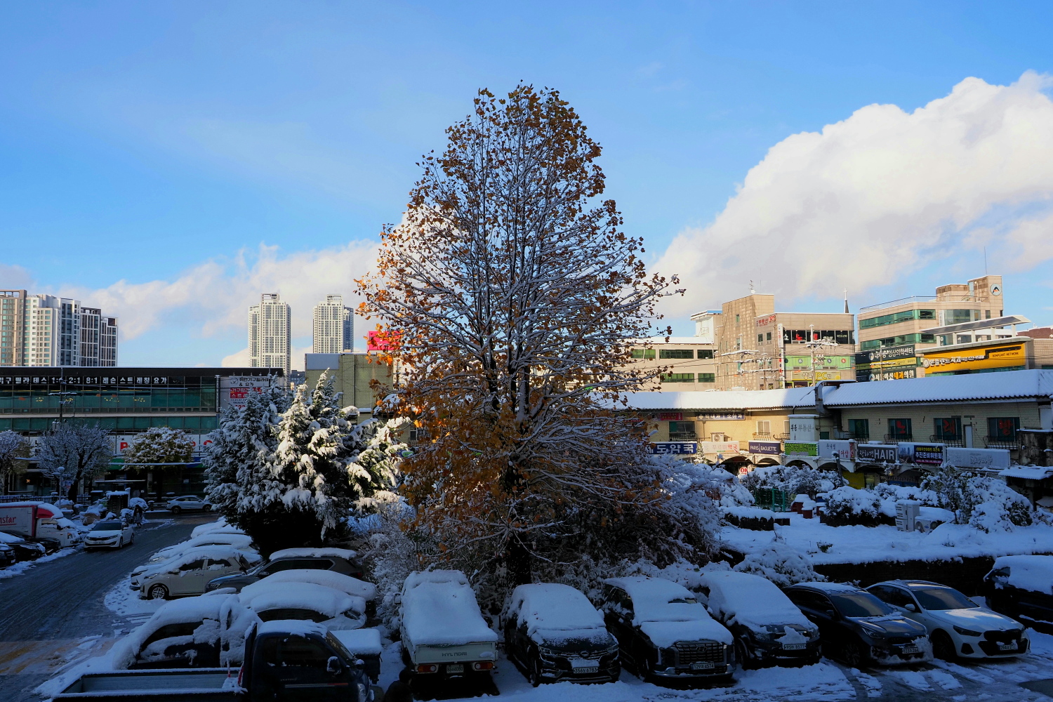 PB270039 (2) (2).jpg