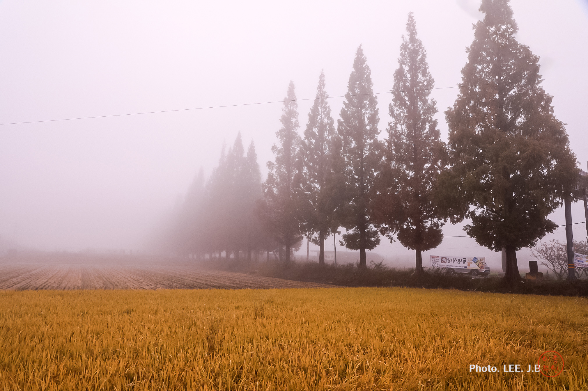 20241109-죽동마을 (20).JPG