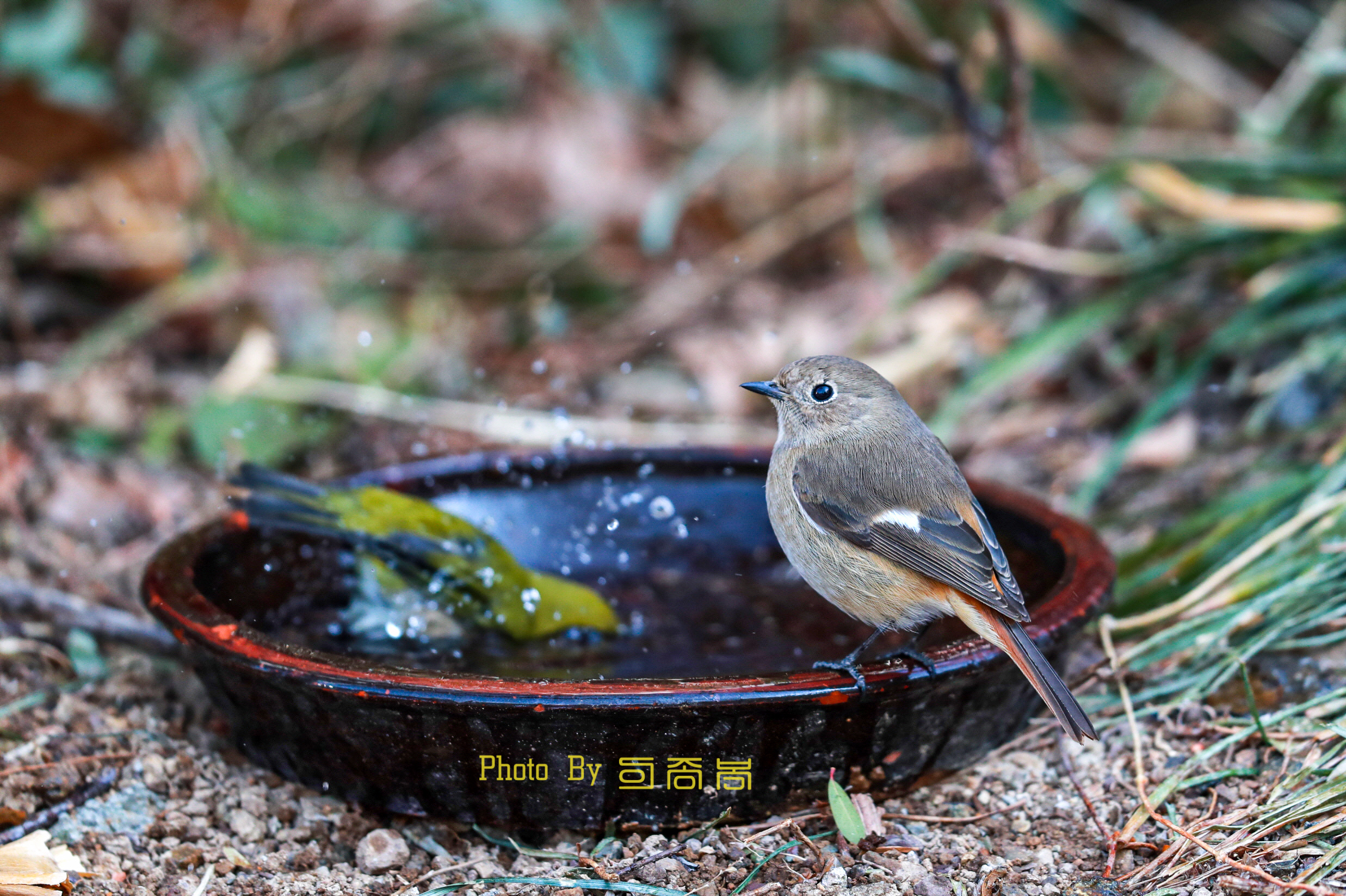 20220204-우리아파트 (14).JPG