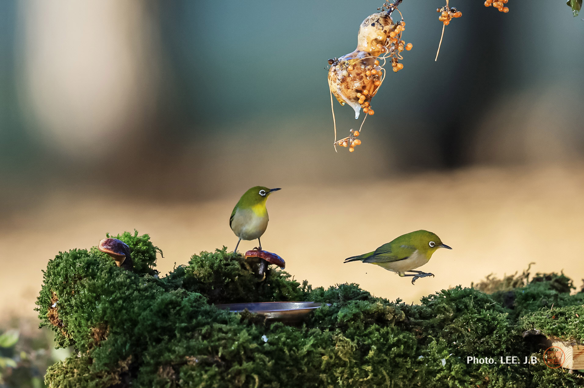 20250111-문수구장 (18).JPG