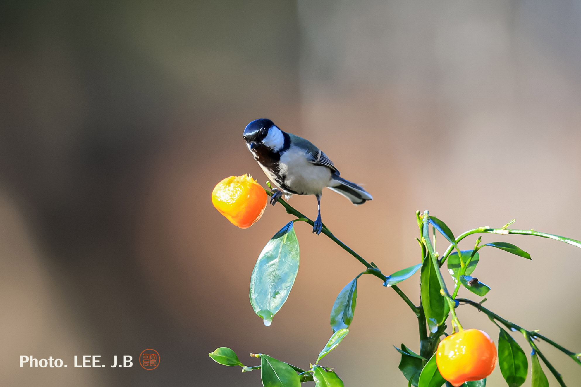 20250111-문수구장 (1).JPG