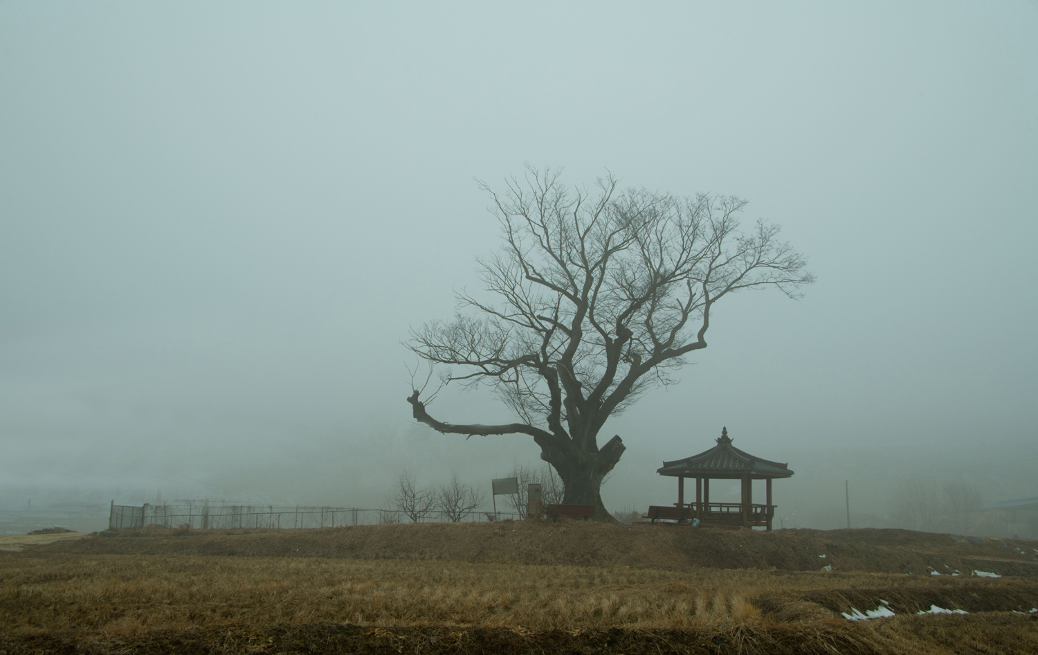 안갯속 풍경.jpg