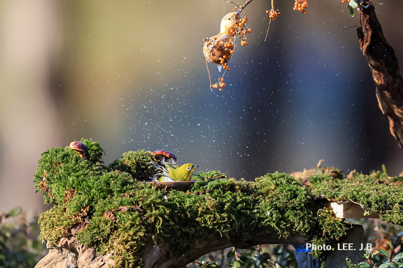 20250111-문수구장 (5).JPG