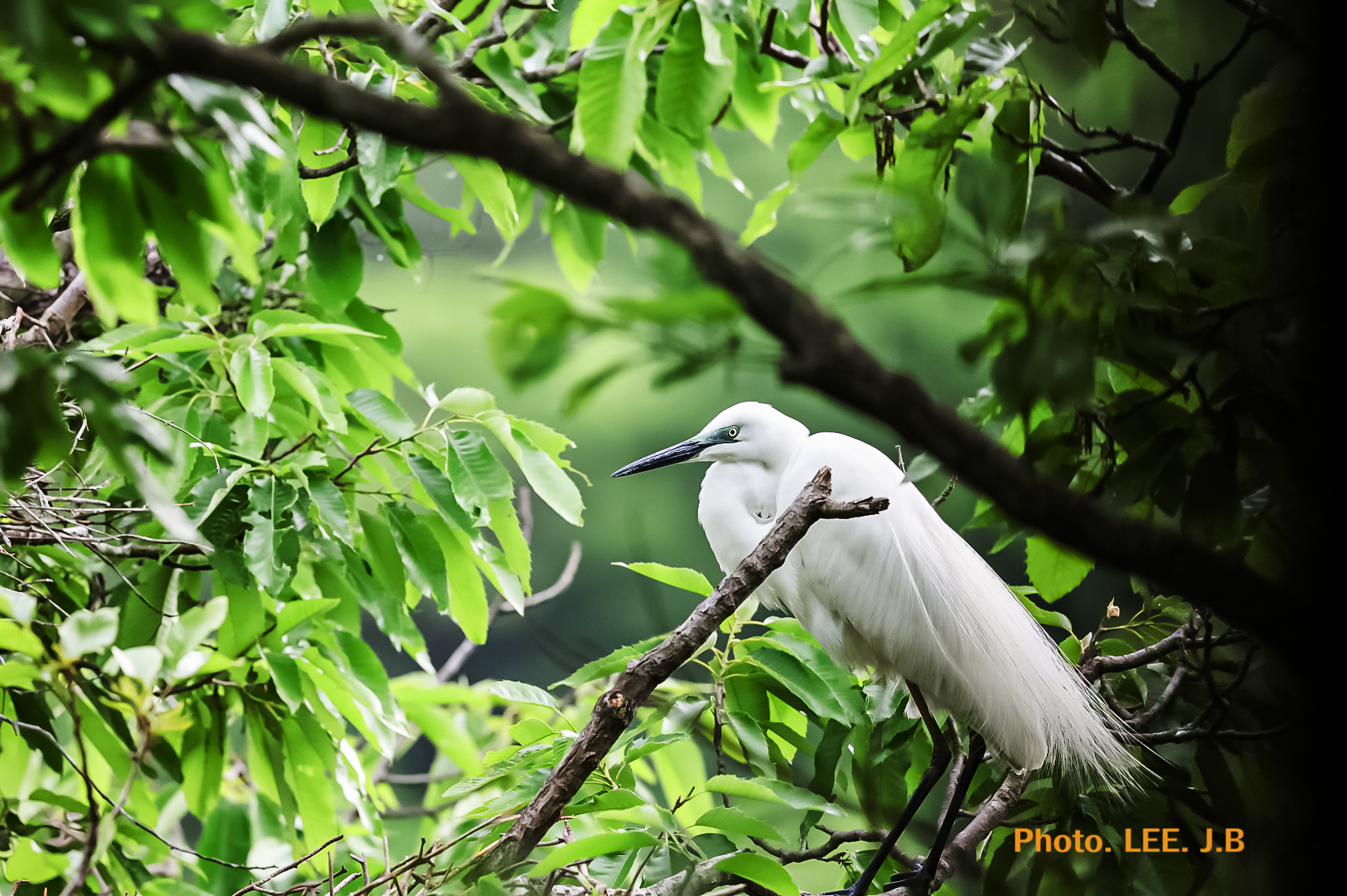 20250518-영월 금몽암 (7).JPG