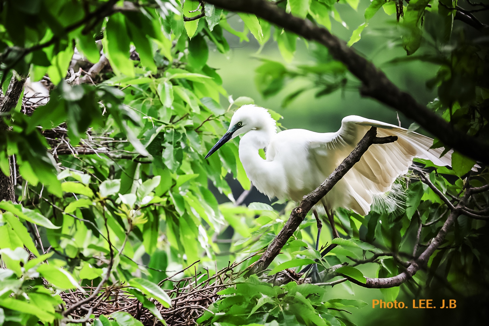 20250518-영월 금몽암 (9).JPG