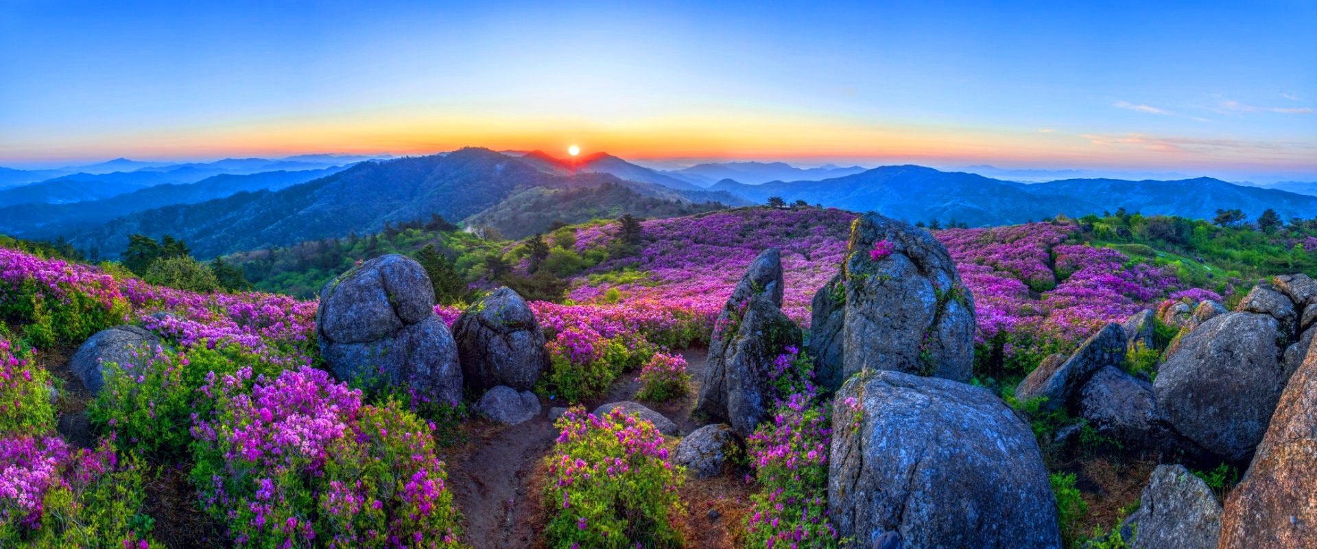 카카오스토리_2025_05_07 08_03_41.jpg