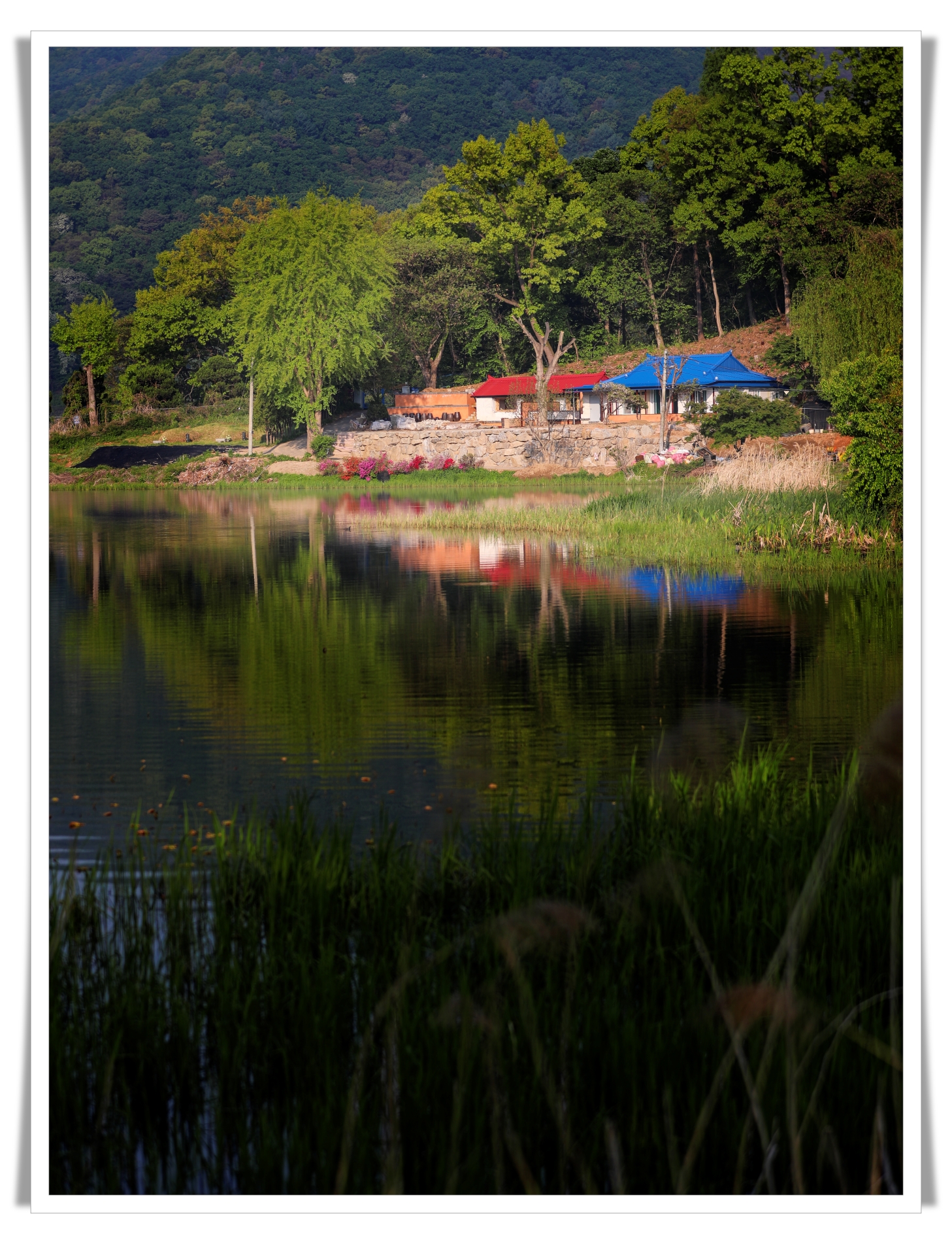 1-IMG_1228 파란지붕-1800.jpg