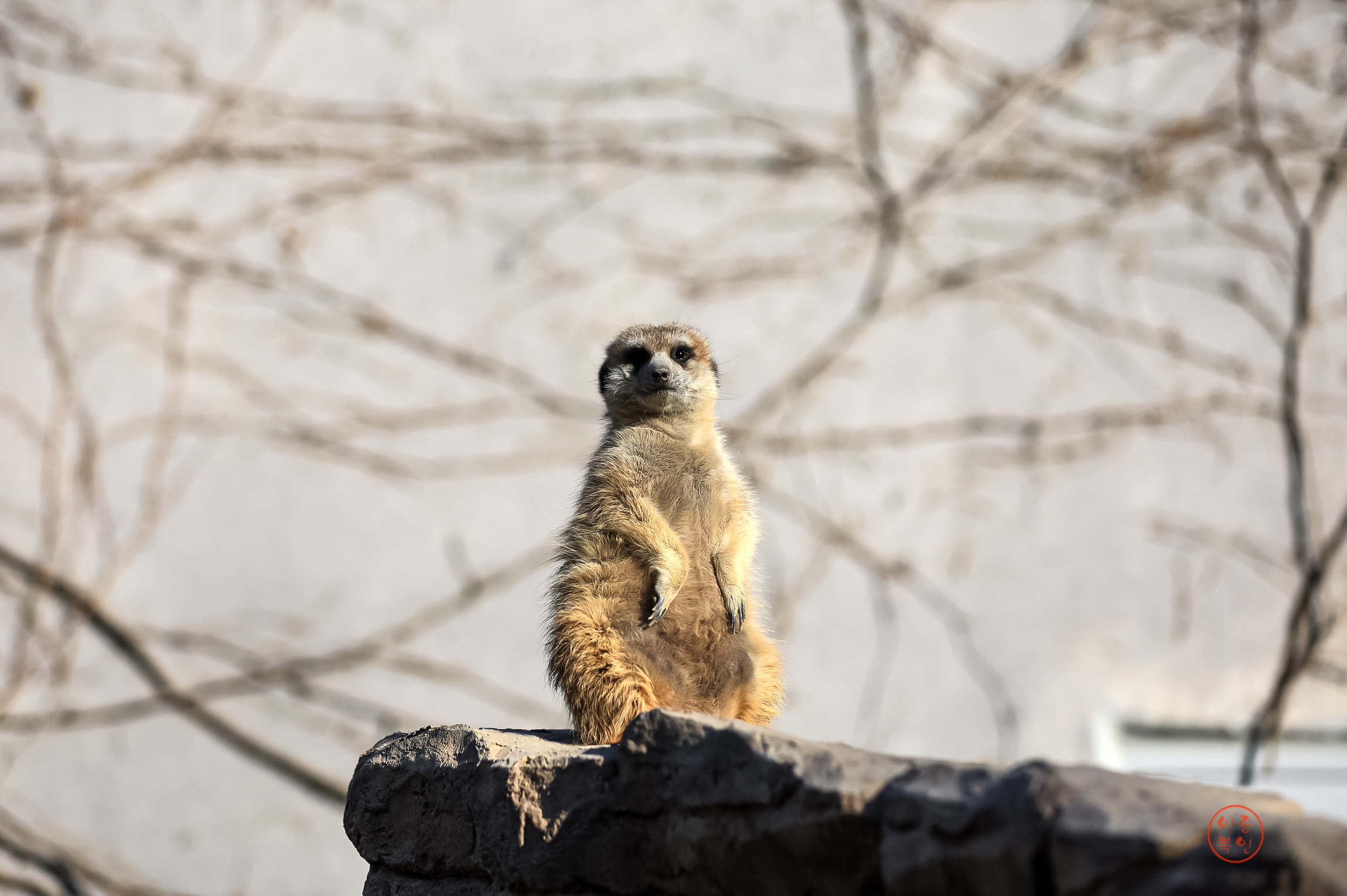 20250220-울산대공원 (44).JPG