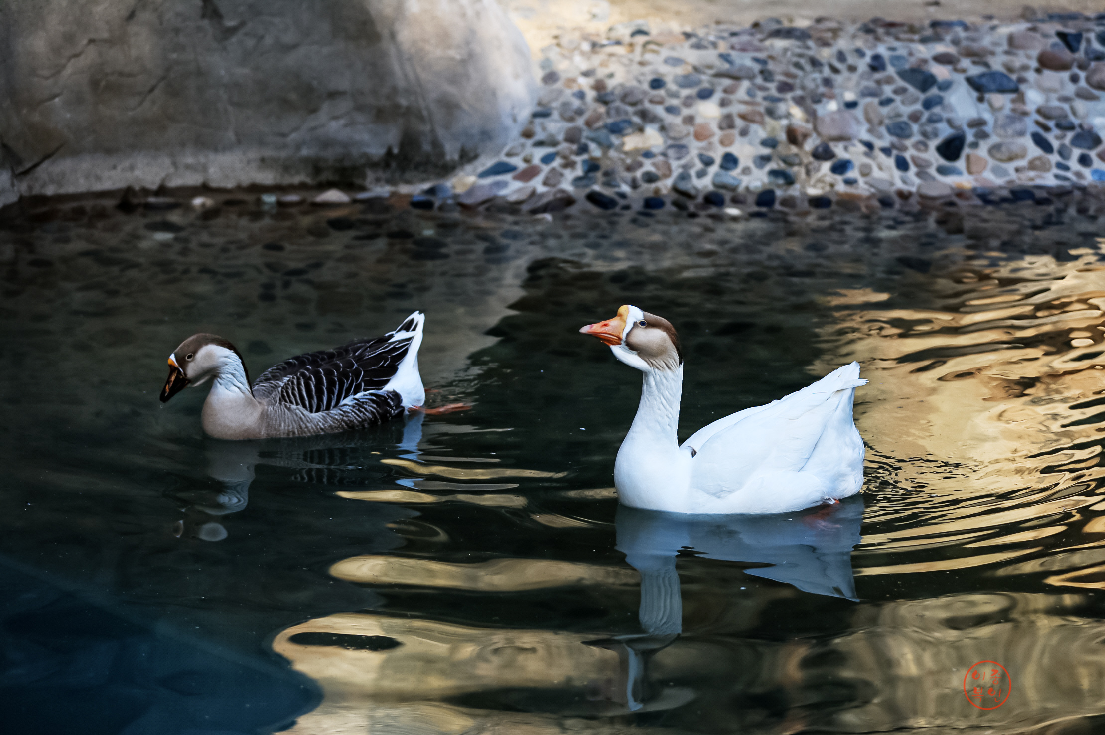 20250220-울산대공원 (2).JPG