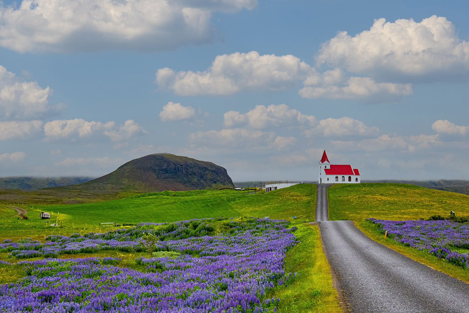 아름다운 길.jpg