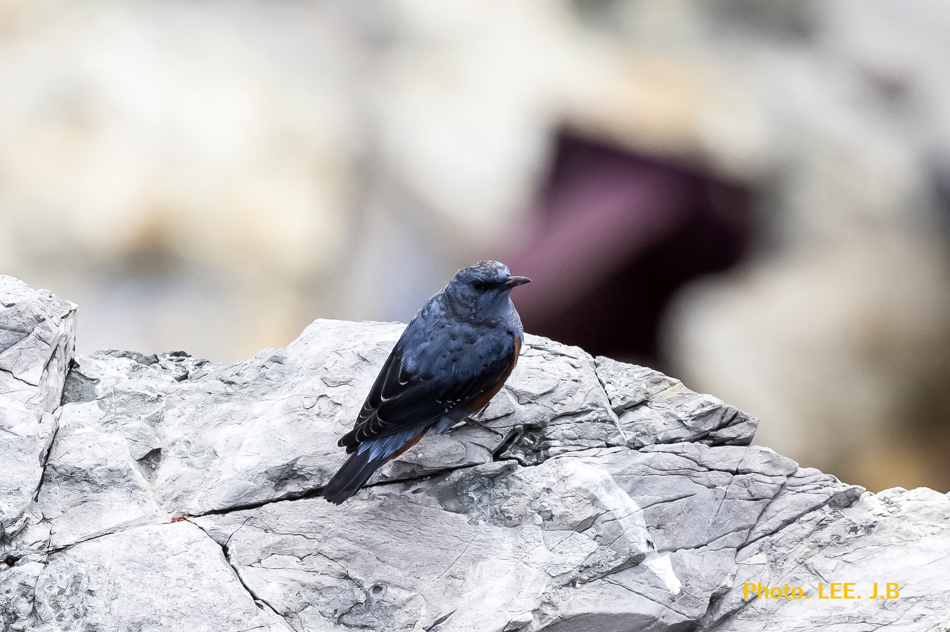 20250313-영도등대 (89).JPG