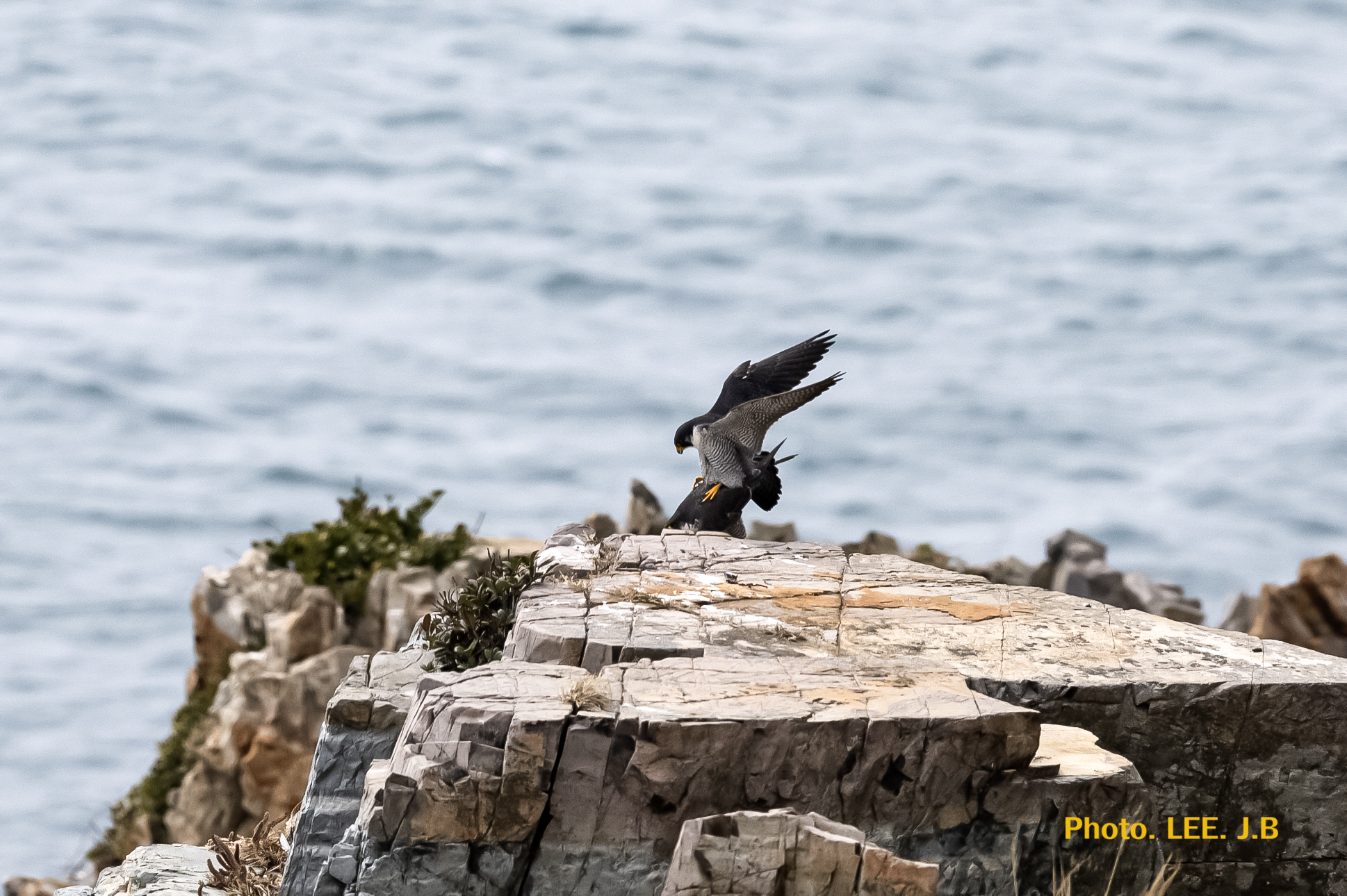 20250313-영도등대 (99).JPG