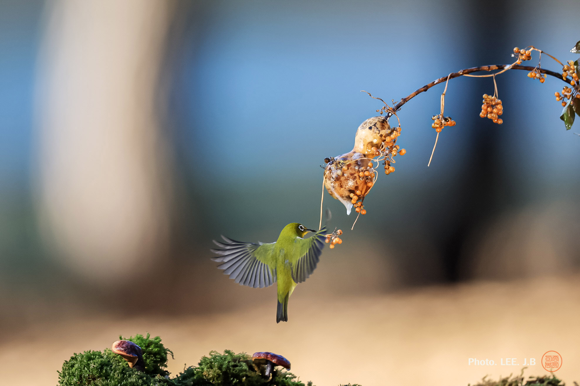 20250111-문수구장 (50).JPG