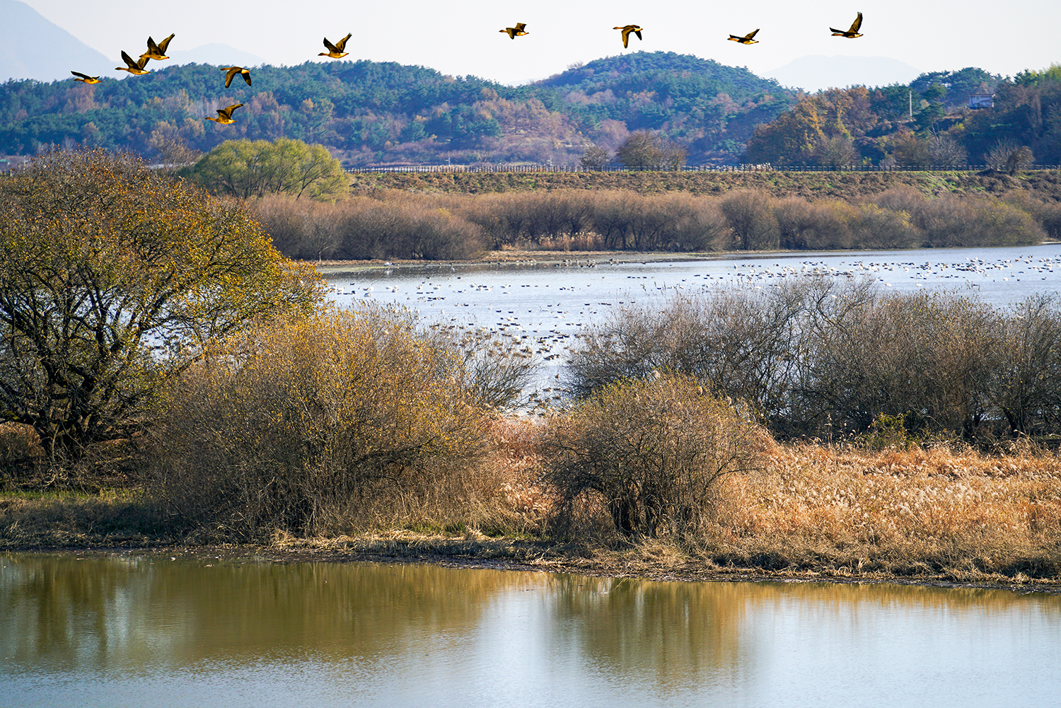 _DSC9023 복사 01.jpg