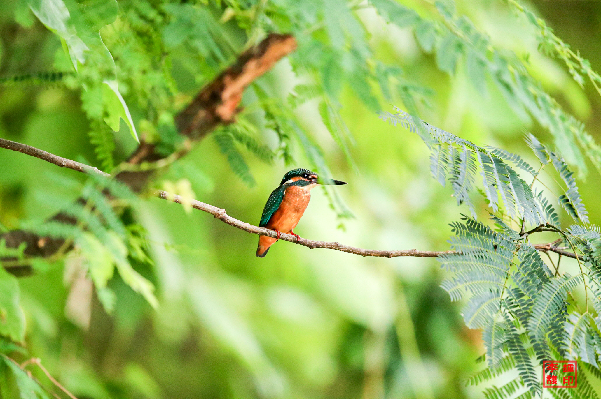 20230814-범서 (53).JPG