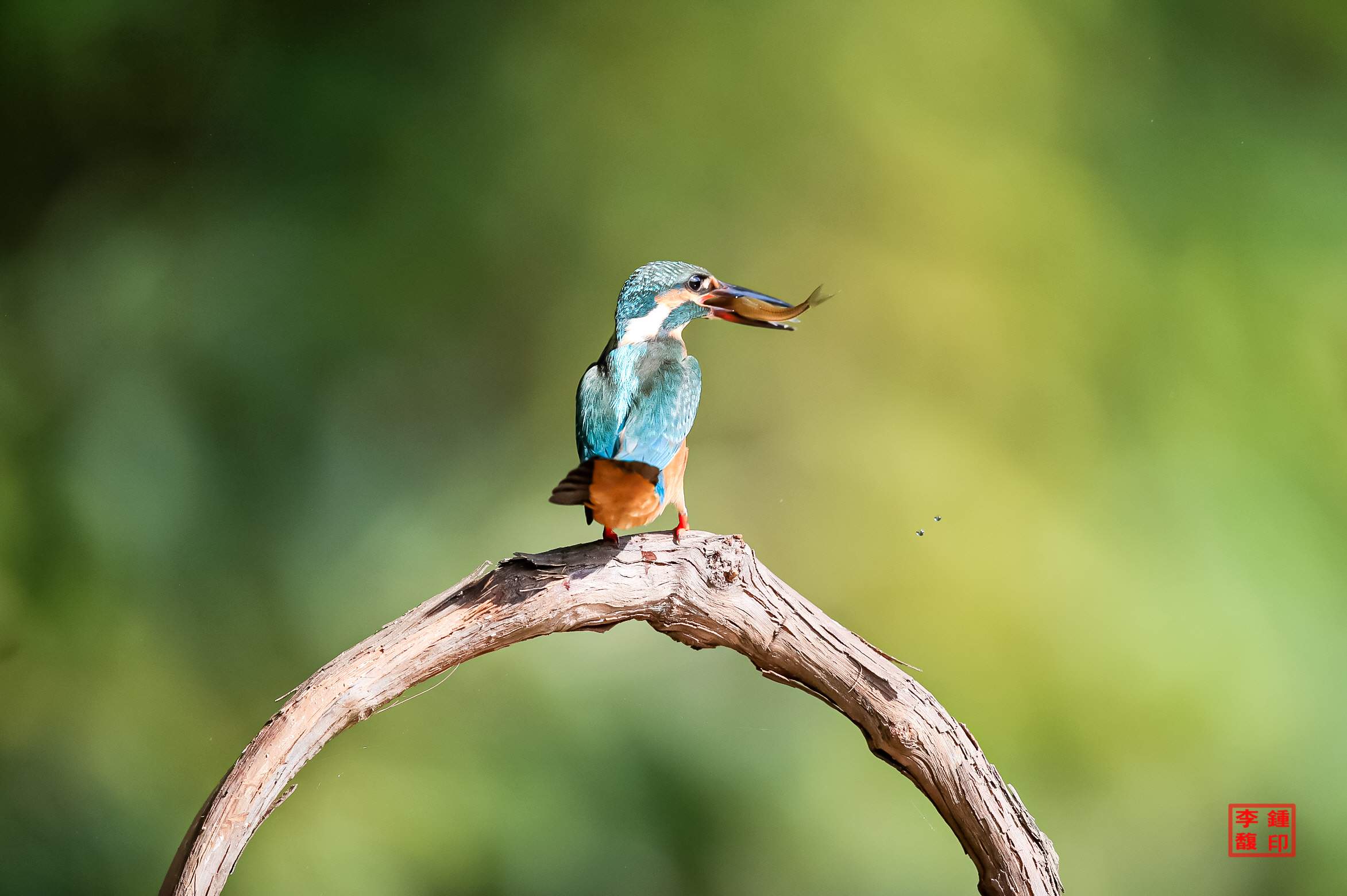 20230814-범서 (47).JPG