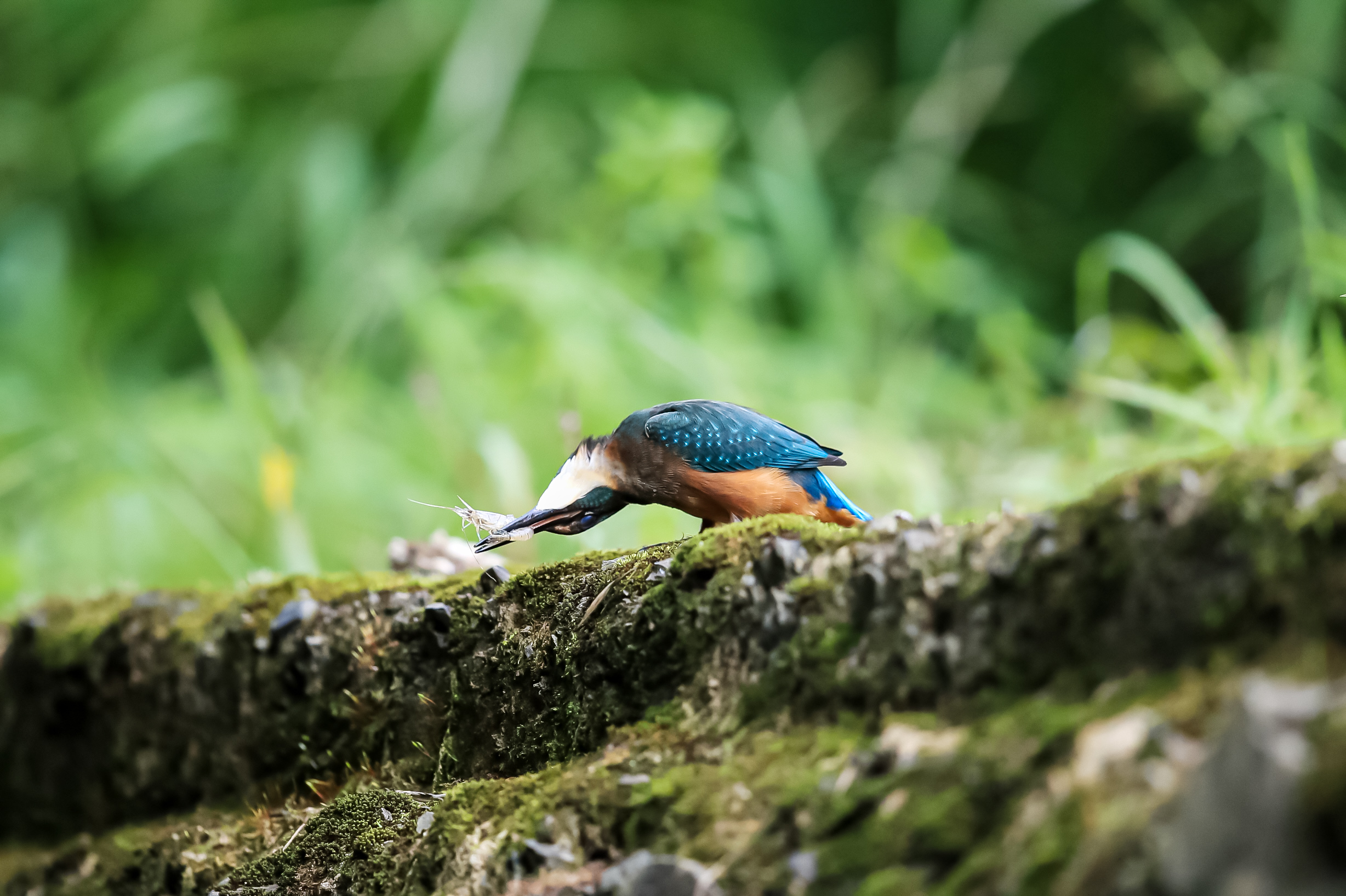 20230906-범서 (26).JPG