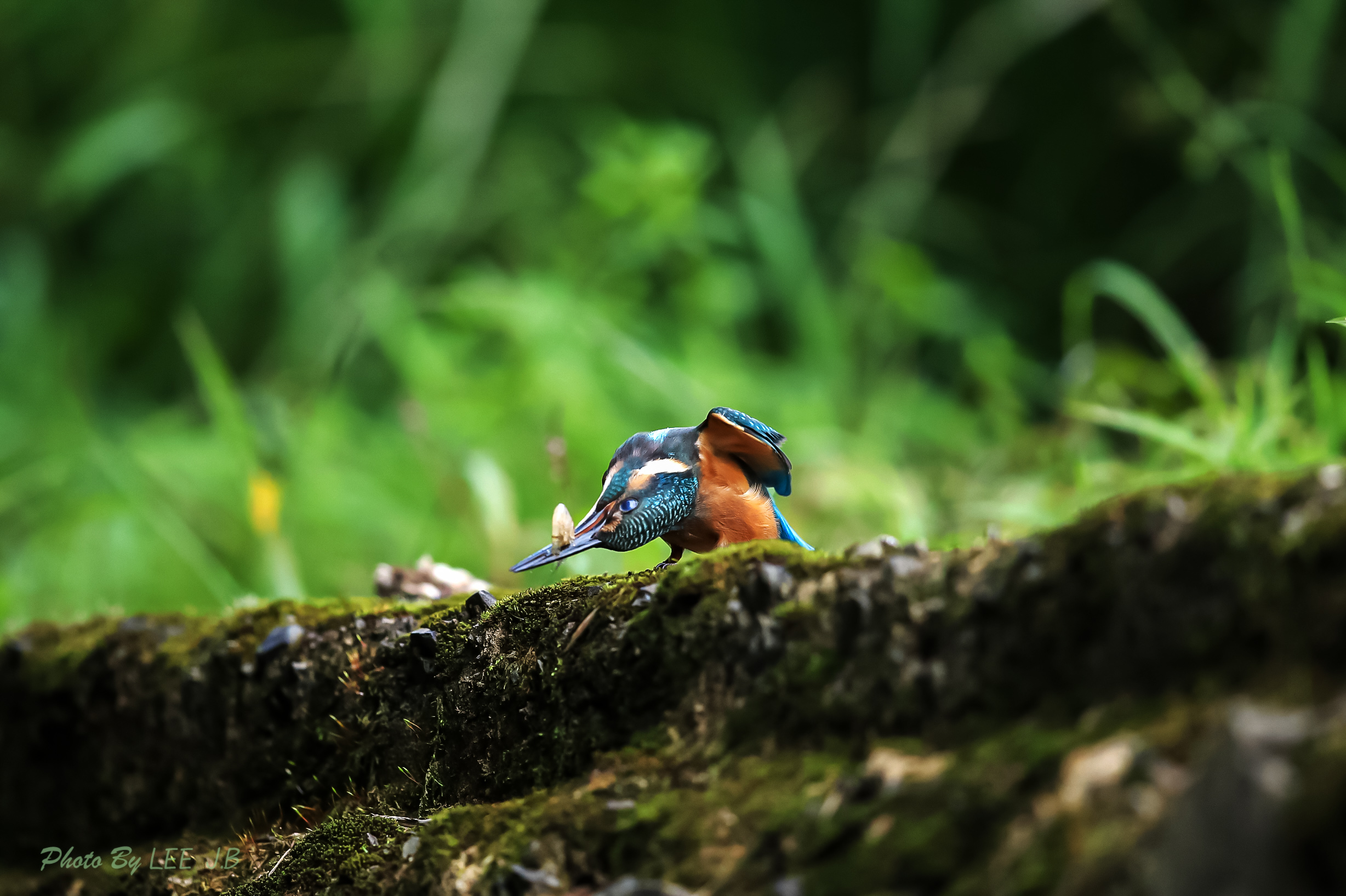 20230906-범서 (38).JPG