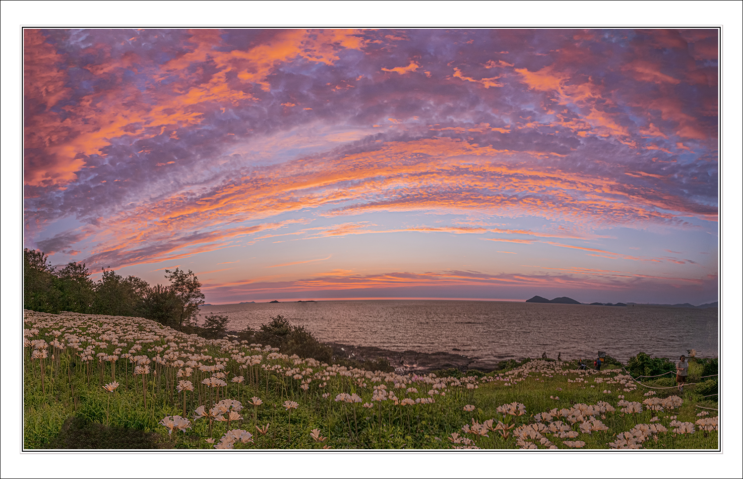 _KEH8576--A 1400.jpg