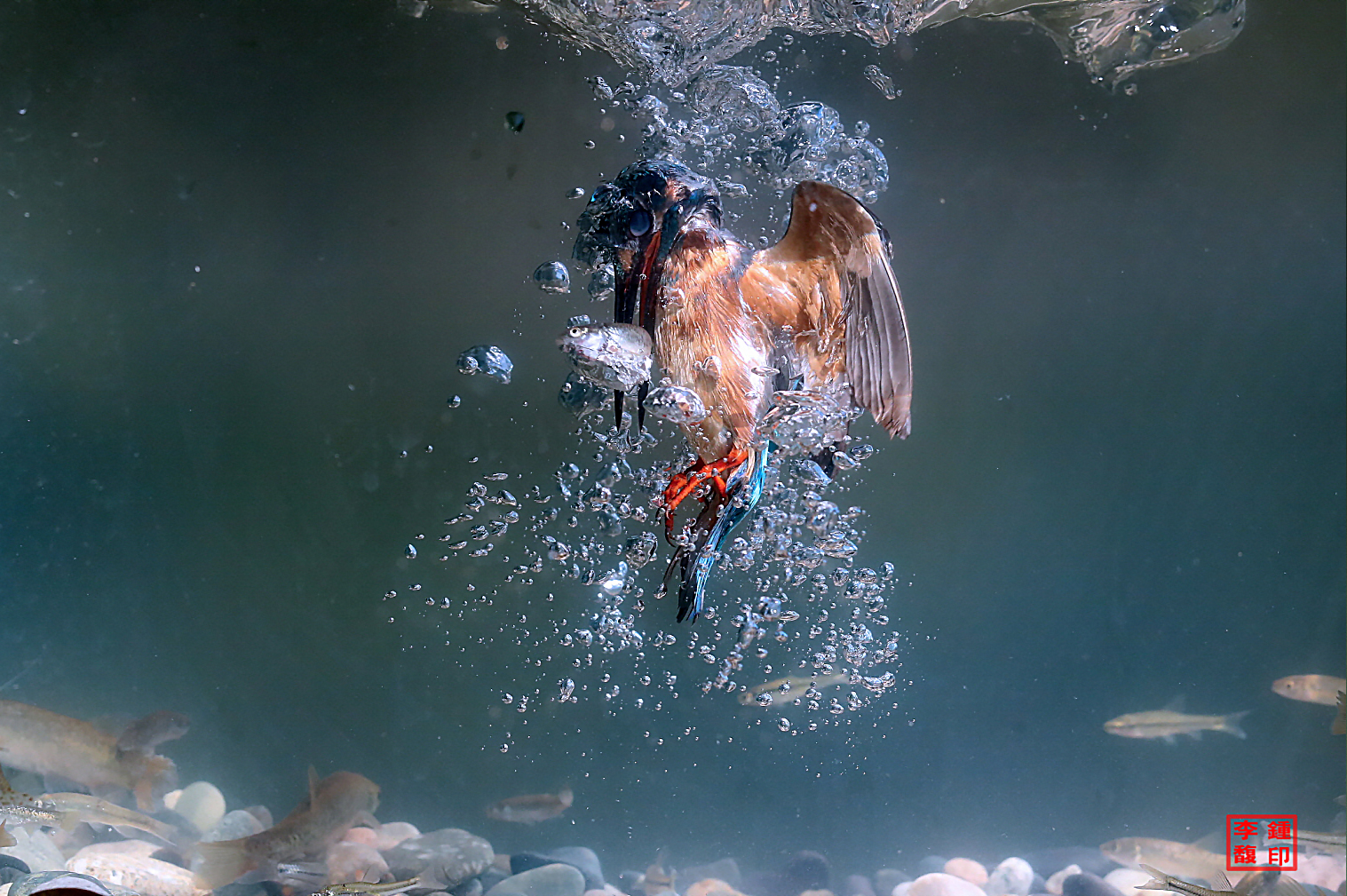 20230806-범서 (1-1).jpg