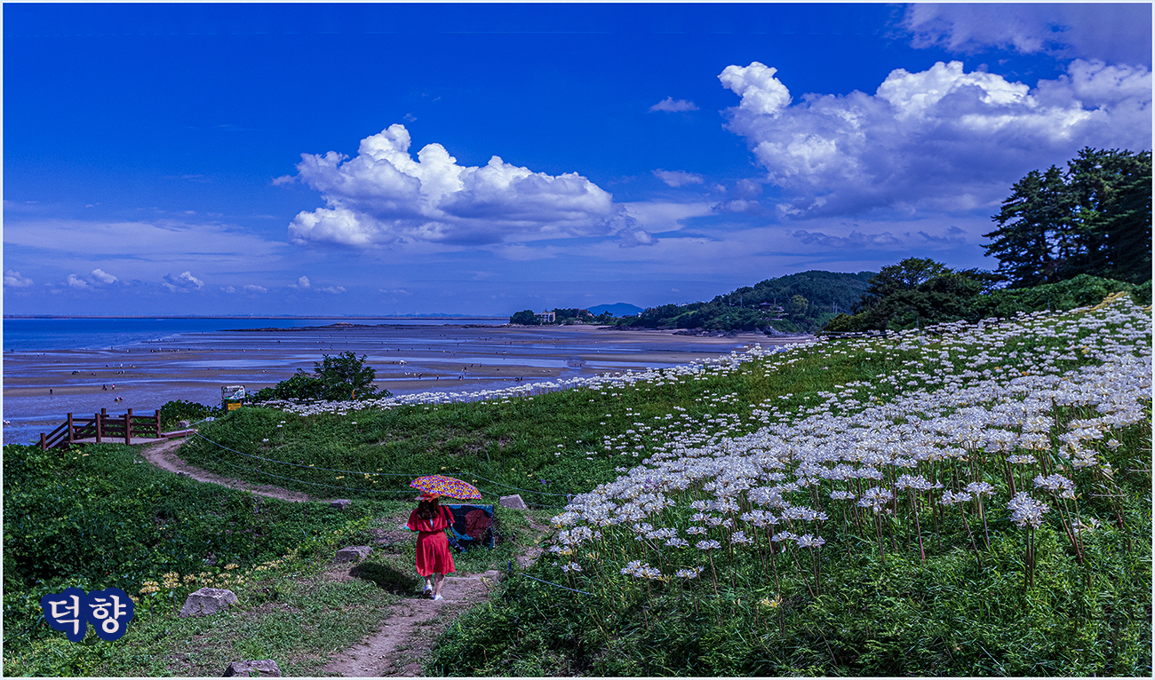 _SJU7215-130 복사.jpg