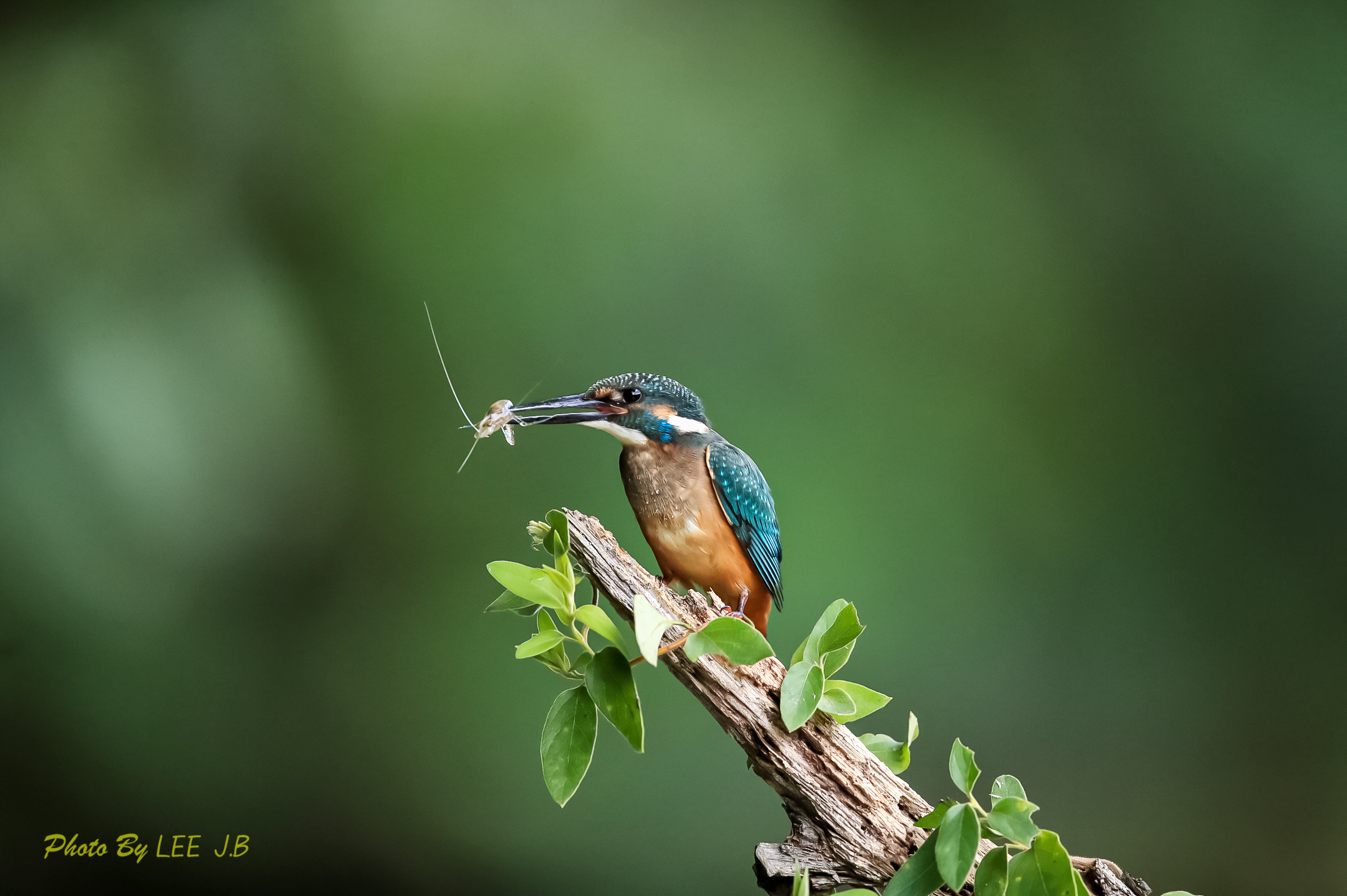 20230906-범서 (8).JPG