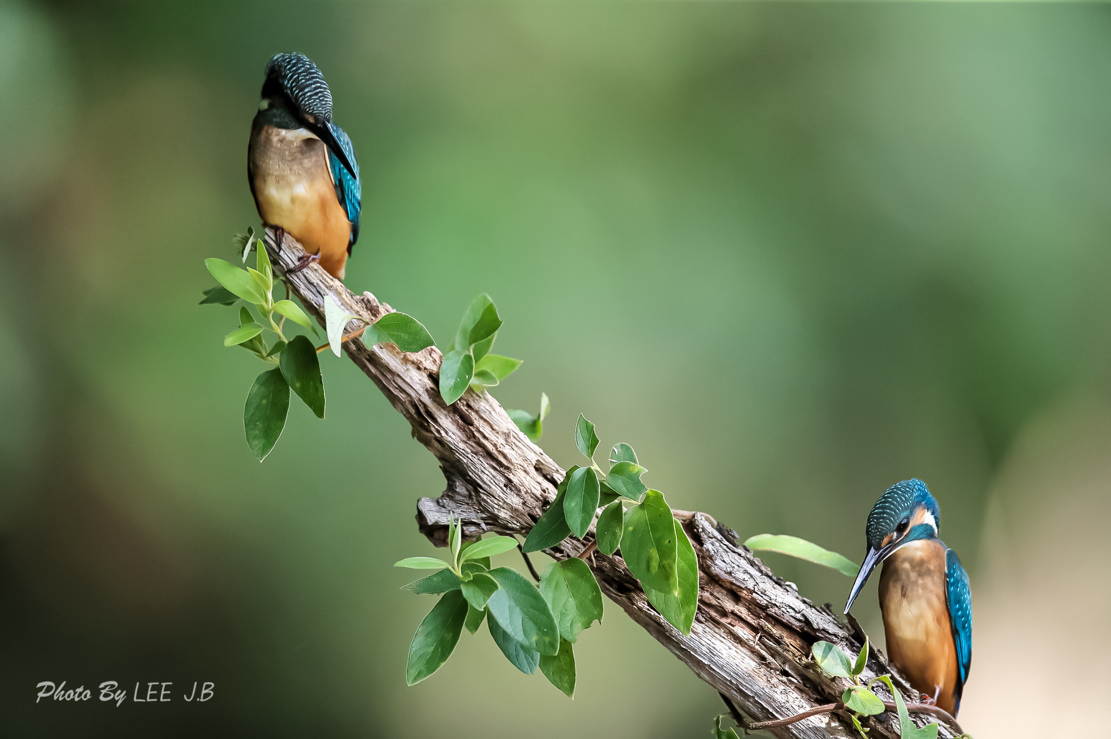 20230906-범서 (67).JPG