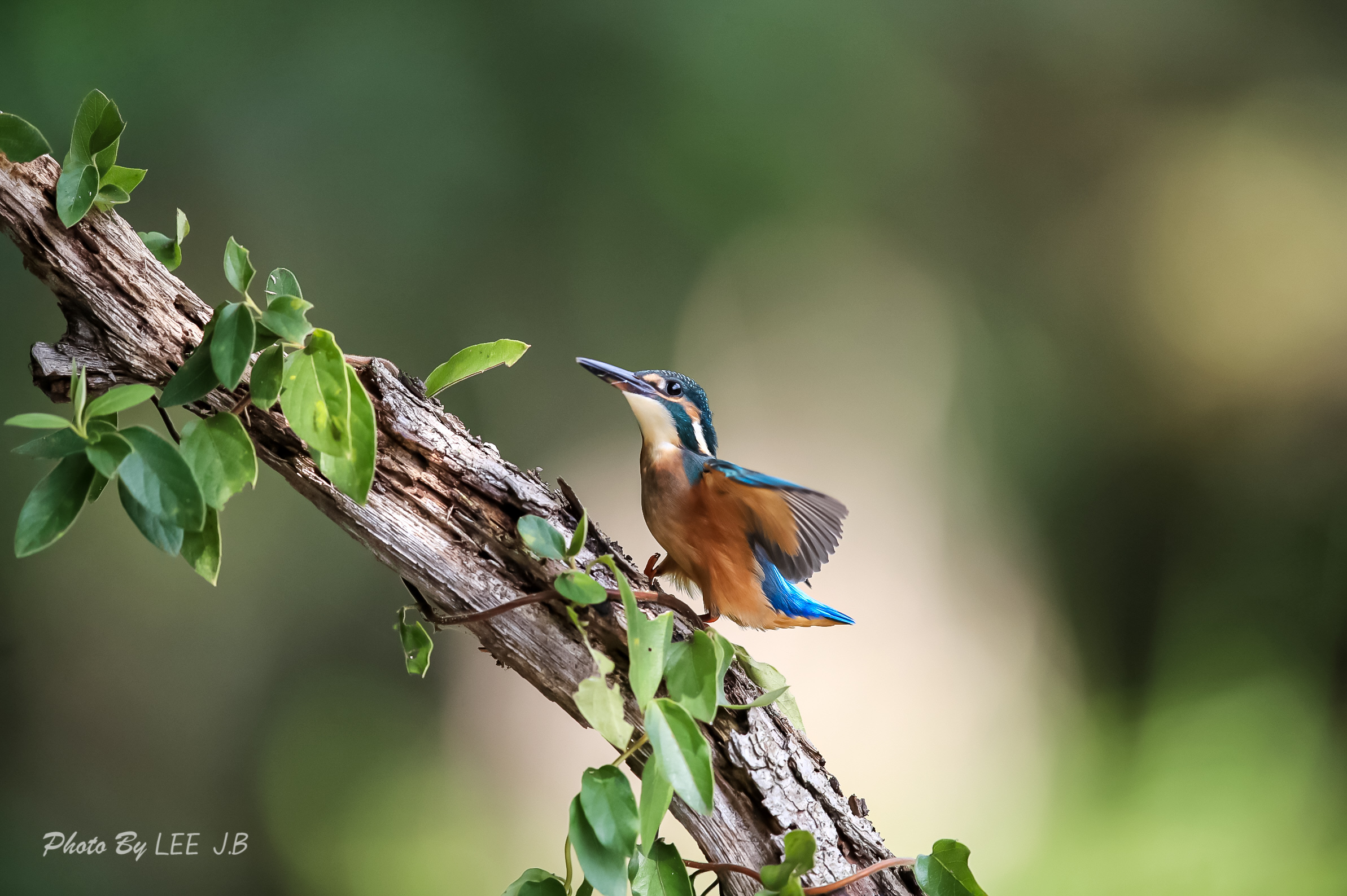 20230906-범서 (52).JPG