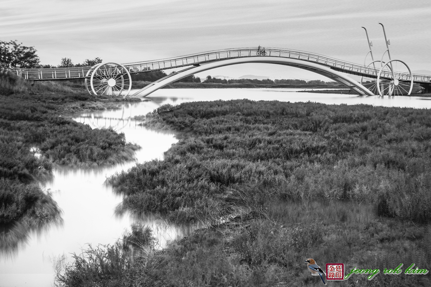 미생이 흑백1500.jpg