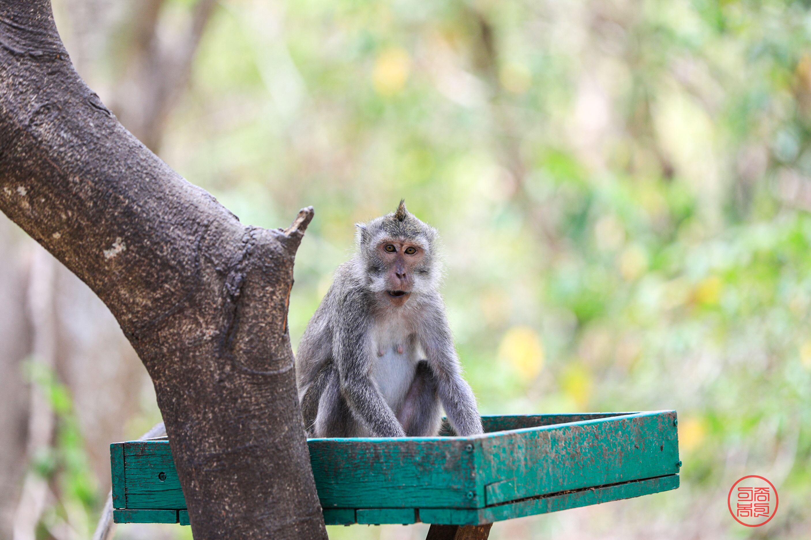 20230926-아야나 (9).JPG