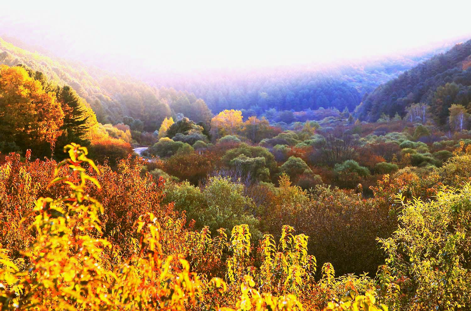 비밀의정원 69.JPG