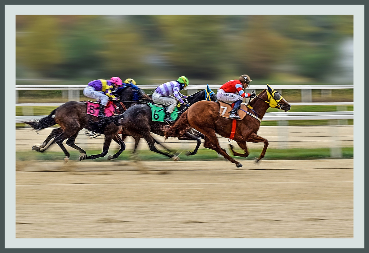 DSC_4021 복사 4홈피.jpg