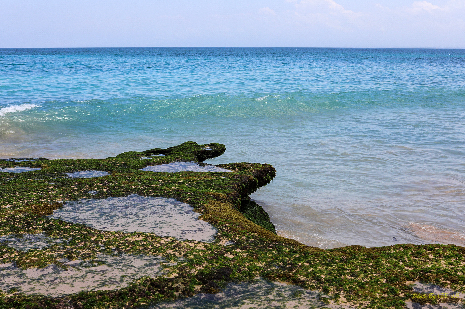 20230926-쿠부 (46).JPG