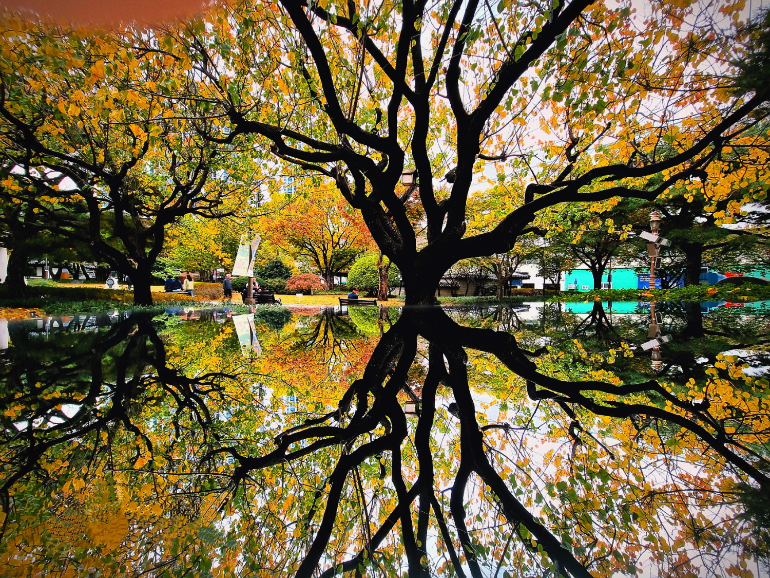 감영공원 반영감영공원 반영20231106_130022.jpg