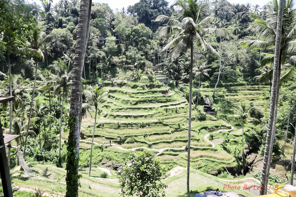 20231001-뜨갈라랑 라이스 (16).JPG