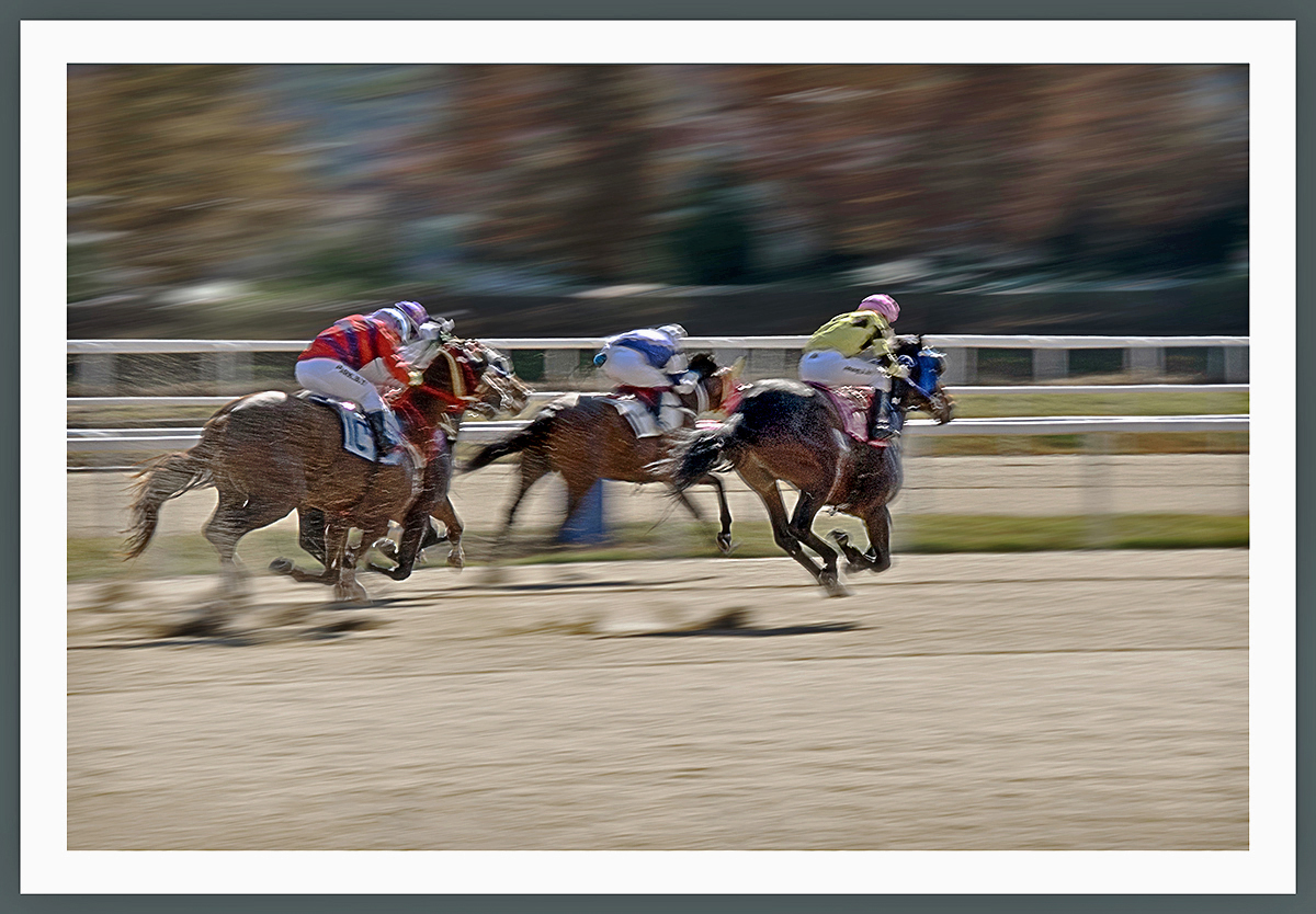 DSC03755 복사홈피.jpg