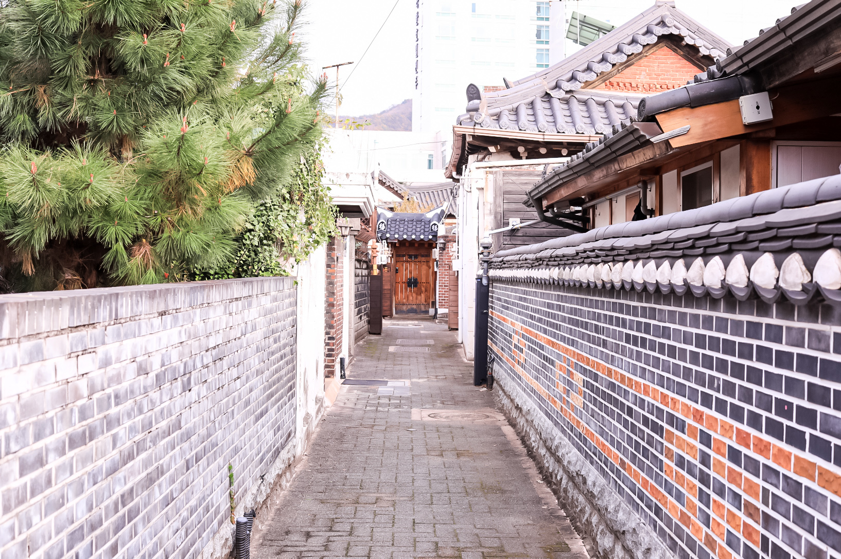 20231112-전주한옥마을 (1).JPG