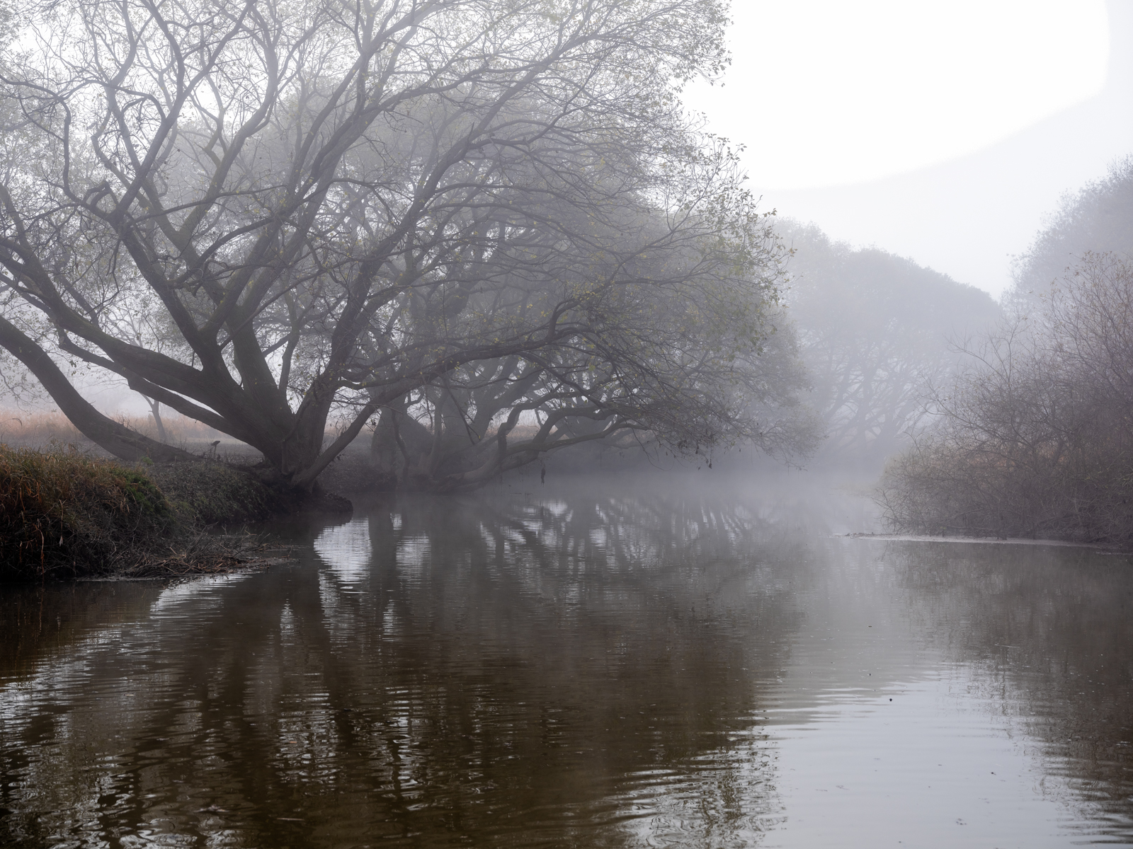 _DSF0499-HDR 복사.jpg