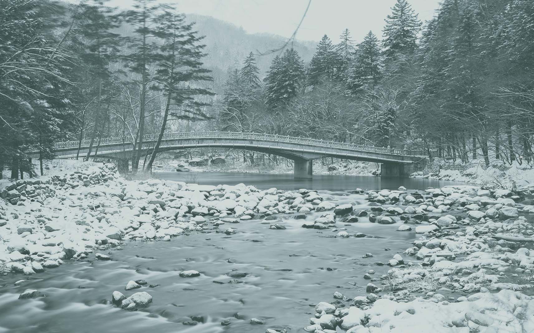 DSCF1399 오대산.jpg