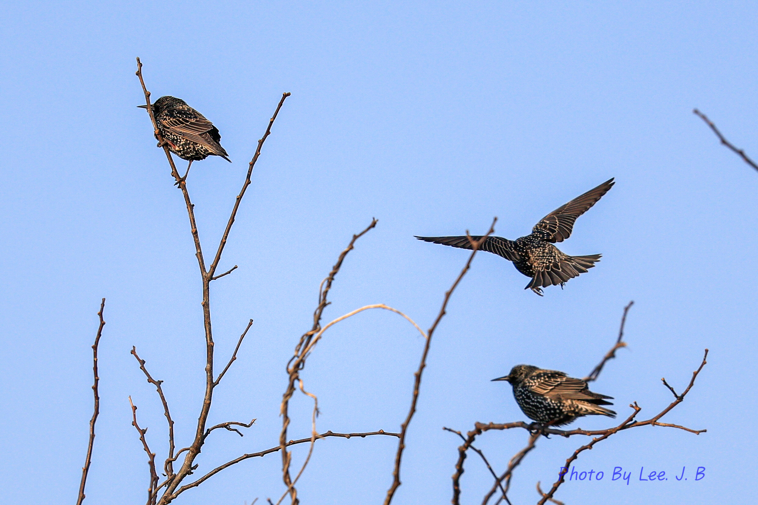 20231224-둔치 (2).JPG