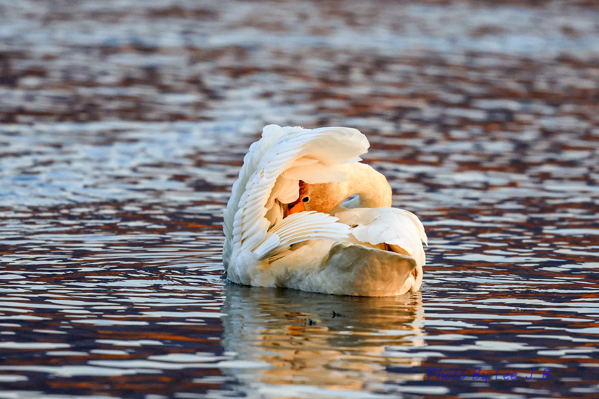 20231224-맥도생태공원 (88).JPG