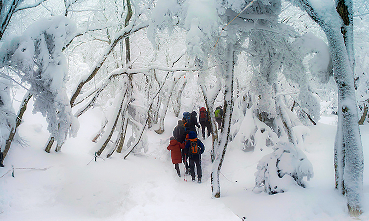 눈꽃속등반.jpg
