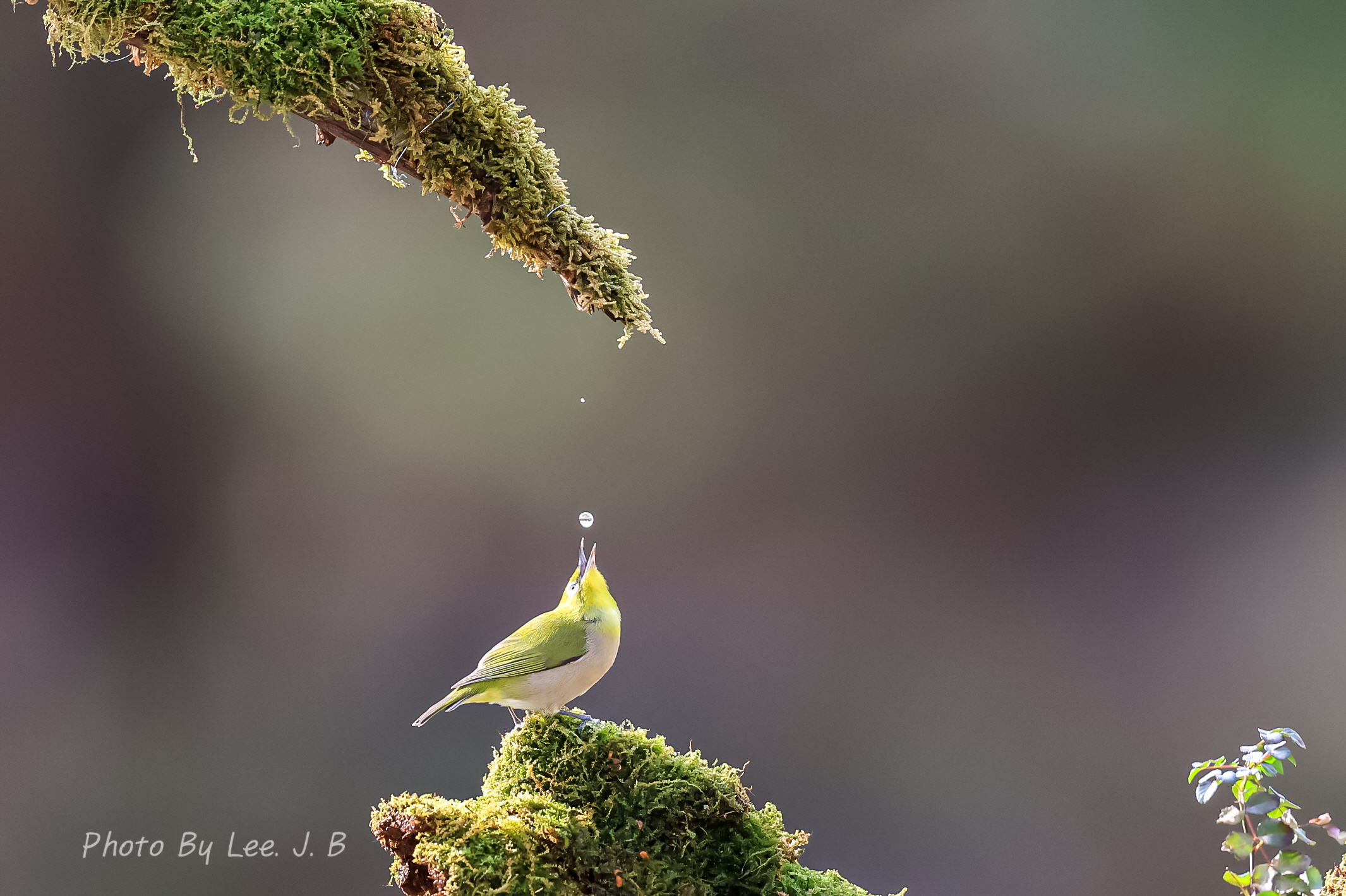 20240101-문수구장 (10).JPG