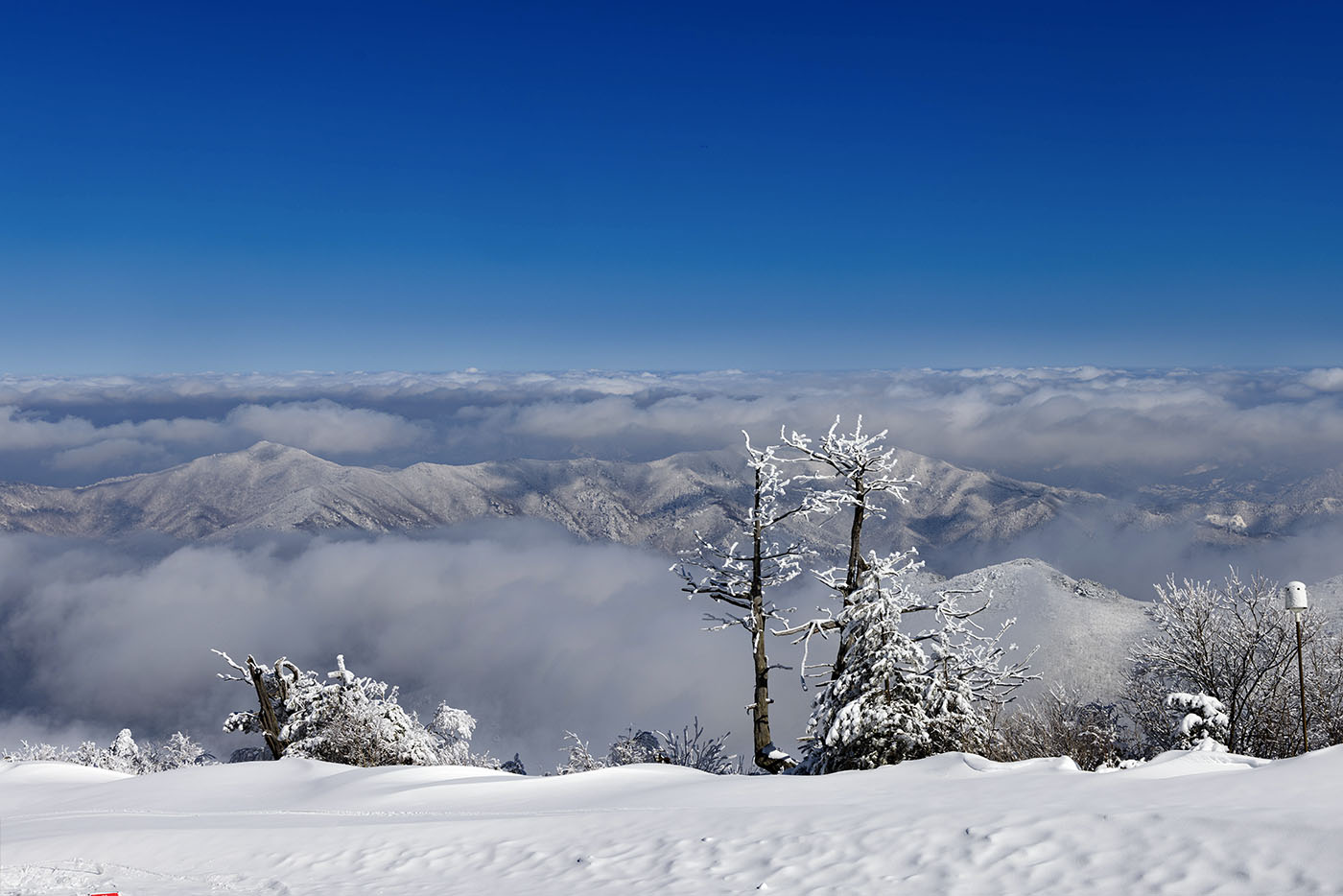 캐논 덕유산.jpg